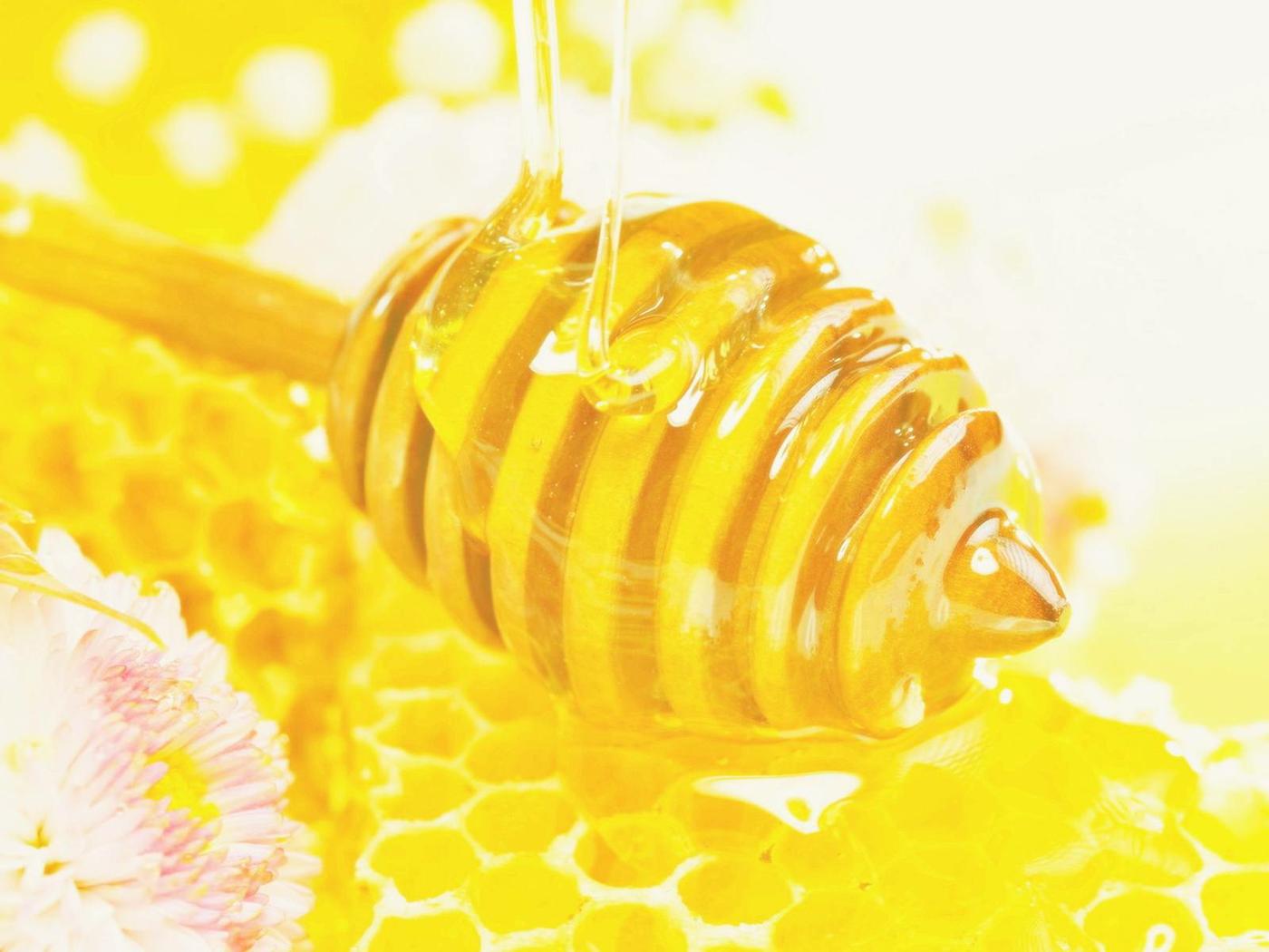 Best Greek Honey 