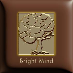 Bright Mind