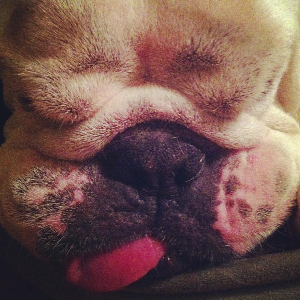 Chuck 