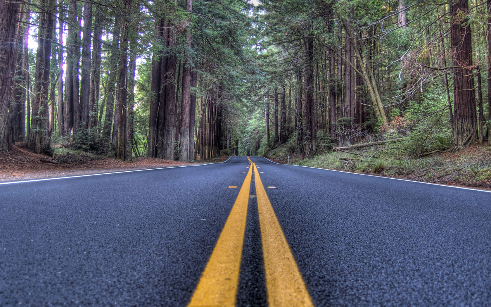 Ryan Bensussan Harvey