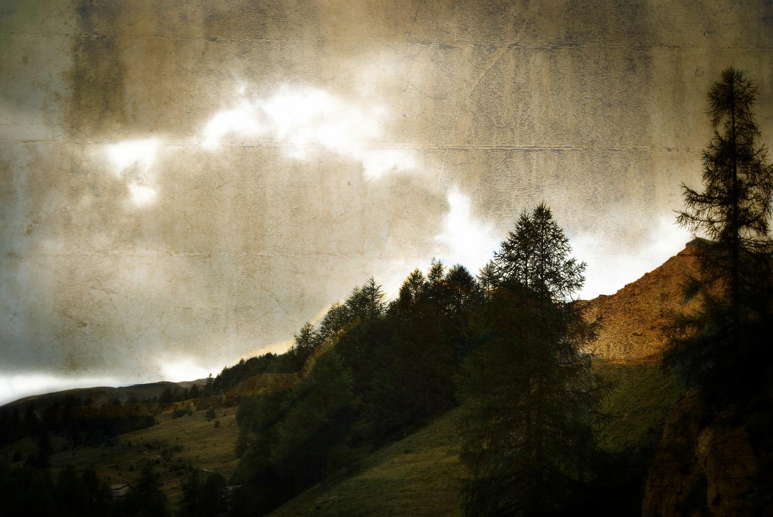 luca baroni