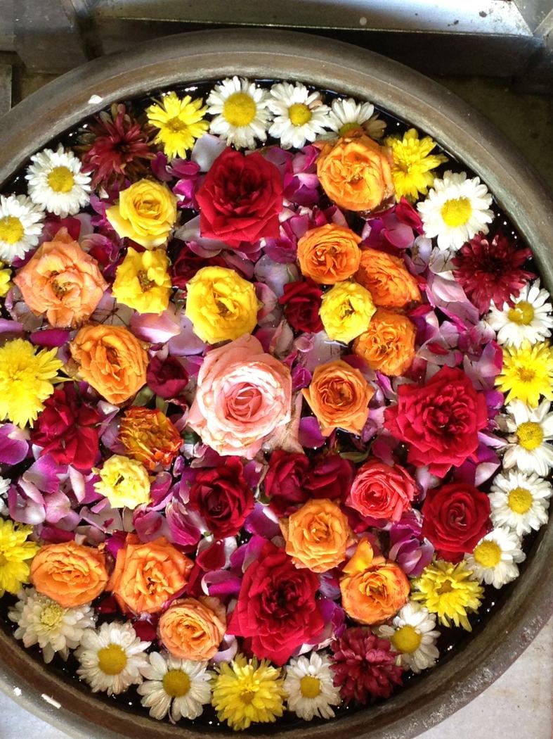 Anita Morris Toronto, Canada about.me