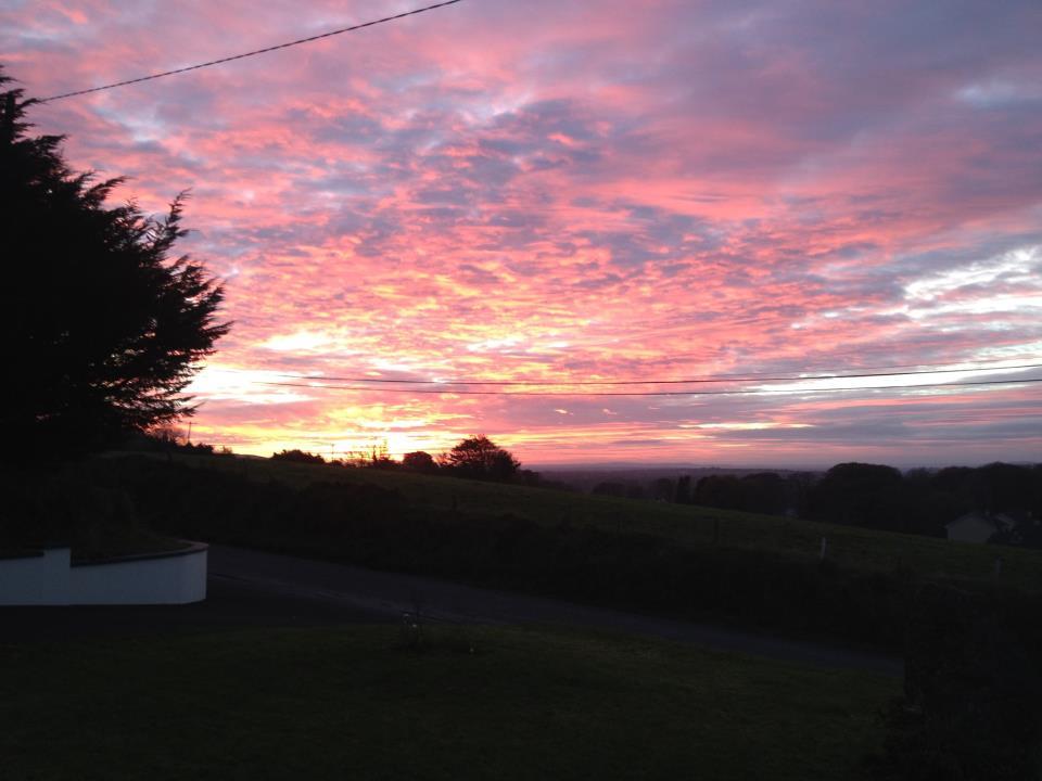 Deirdre O'Shaughnessy