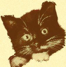 Humboldt County Animal Shelter
