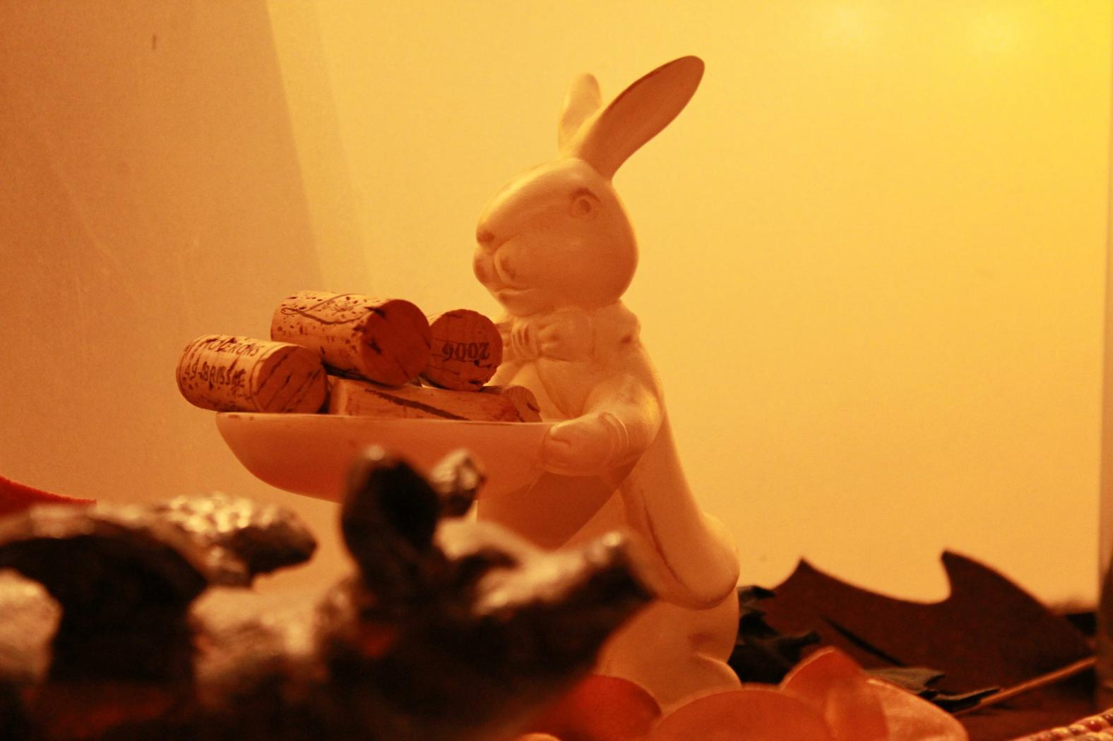 Rabbit Reporter