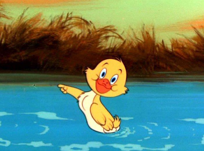 ugly duck