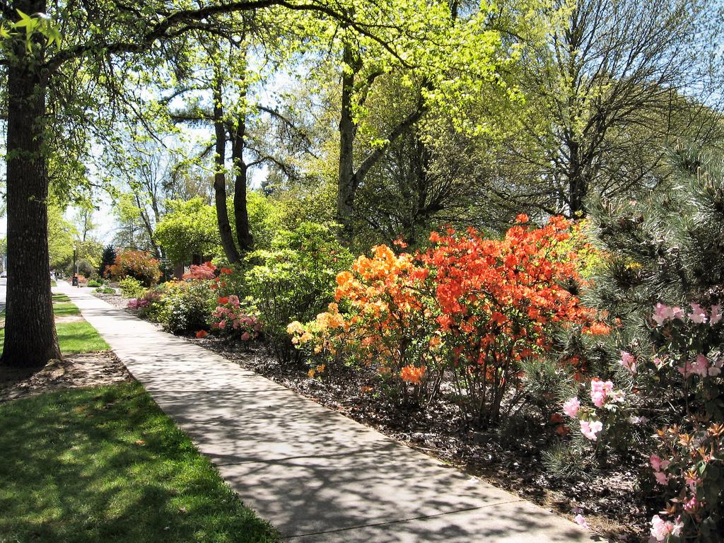 Corvallis Oregon The Most Innovative City in America about.me